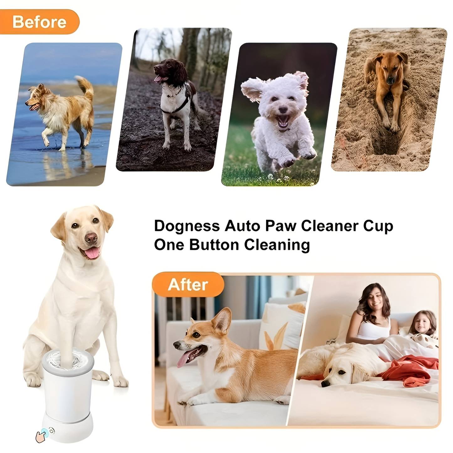 Fluffin™ Paw Cleaner – Clean Paws, Clean Floors