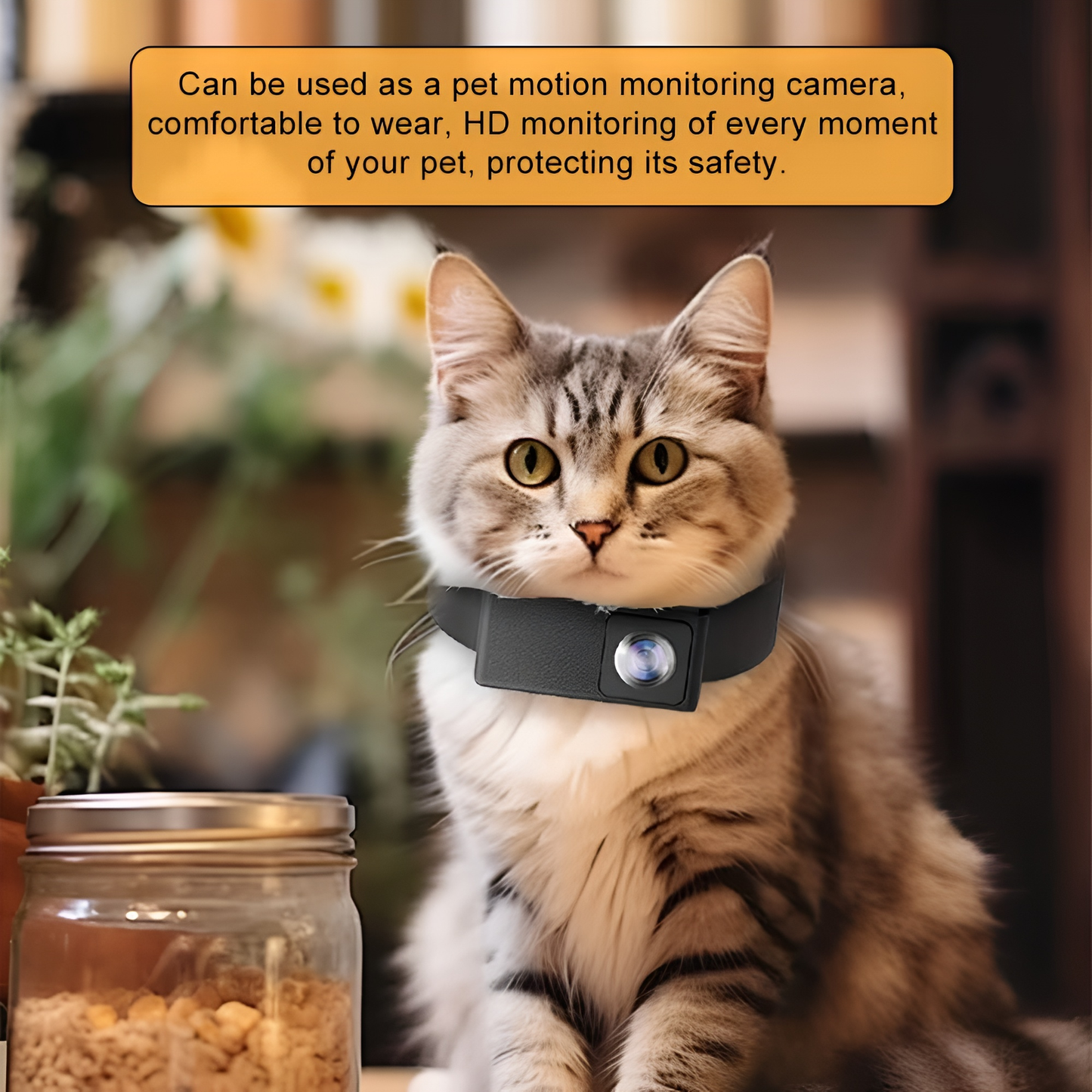 Fluffin™ HD Pet Collar Camera — 1080P Live Stream & Record Every Adventure