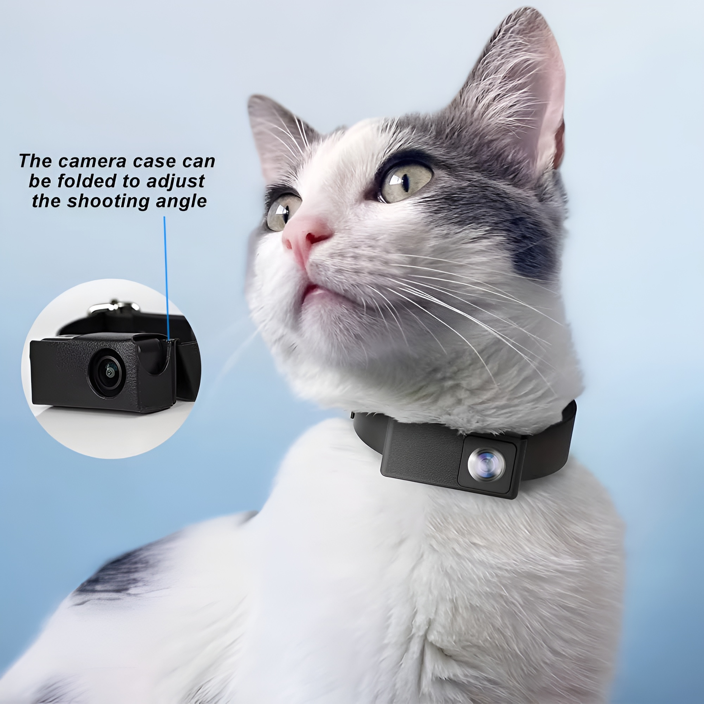 Fluffin™ HD Pet Collar Camera — 1080P Live Stream & Record Every Adventure